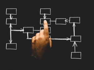 Organizational Chart